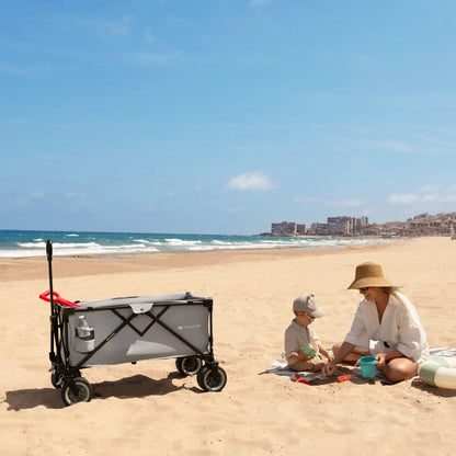 Carrito de transporte plegable ROLLSTER