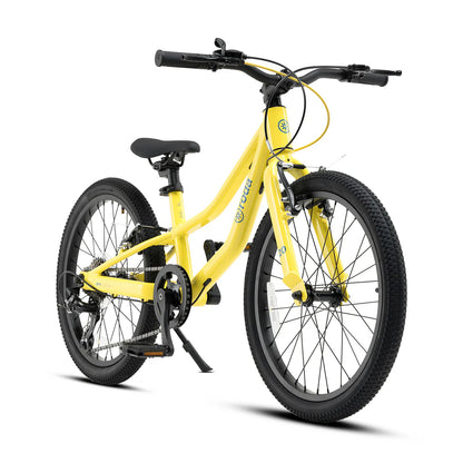 Bicicleta Roda Pro Series Aro 20 v4
