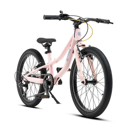 Bicicleta Roda Pro Series Aro 20 v4