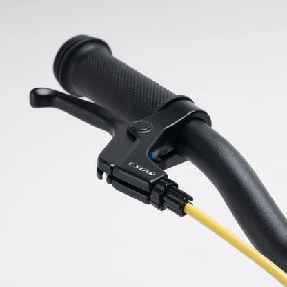 Bicicleta RODA Pro 12 v4