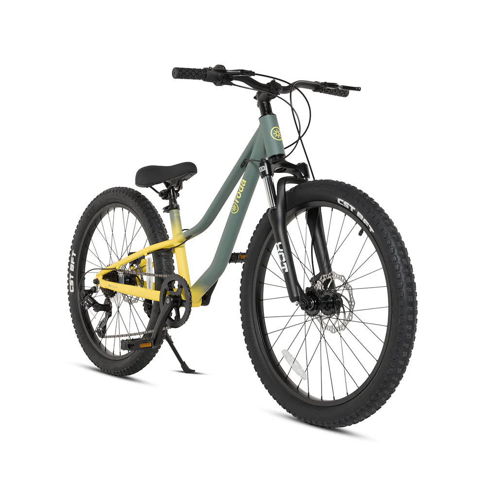 Bicicleta Roda Pro Series Aro 24 Sport