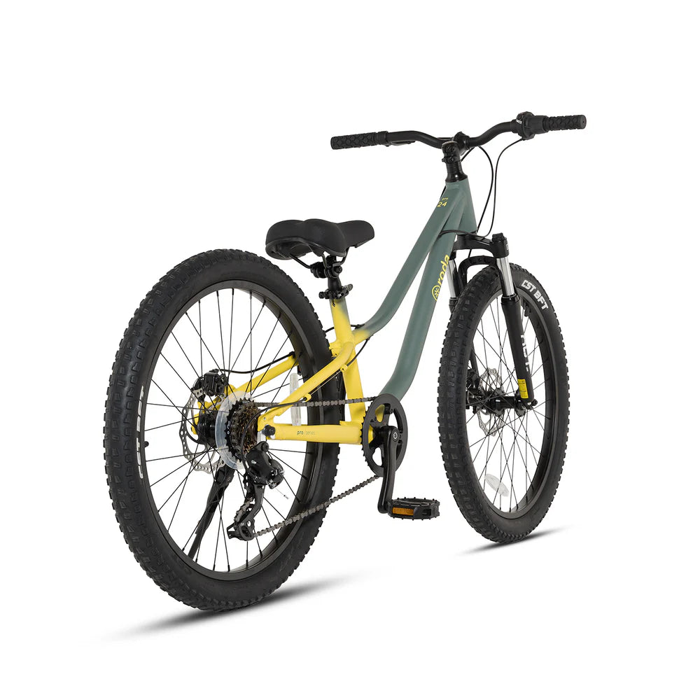 Bicicleta Roda Pro Series Aro 24 Sport