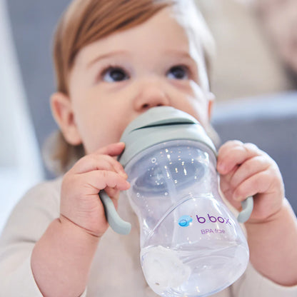 Vaso Sippy