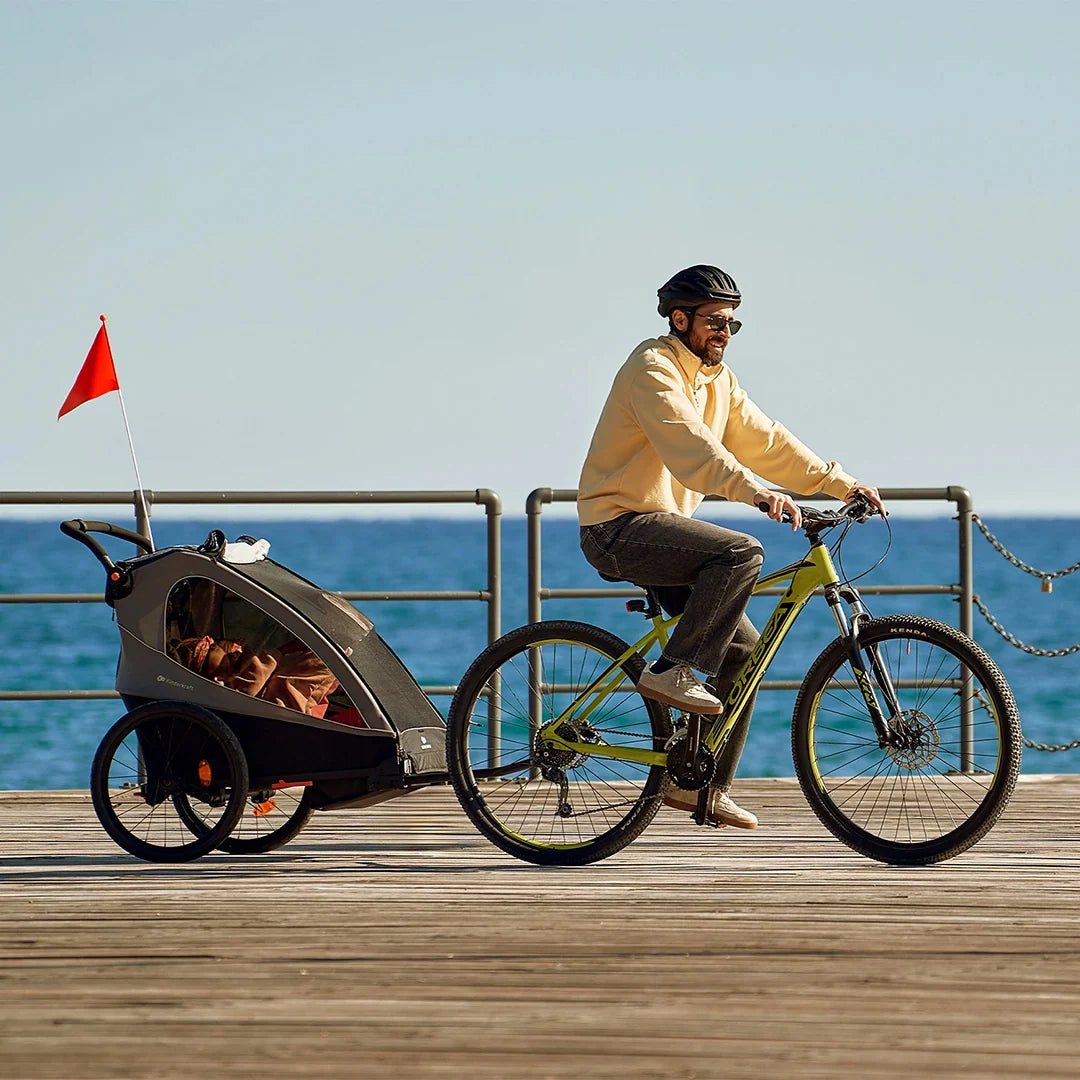 Coche de paseo NAVA WALK 2 en 1