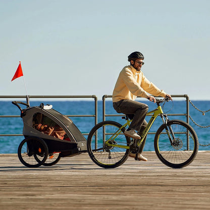 Coche de paseo NAVA WALK 2 en 1