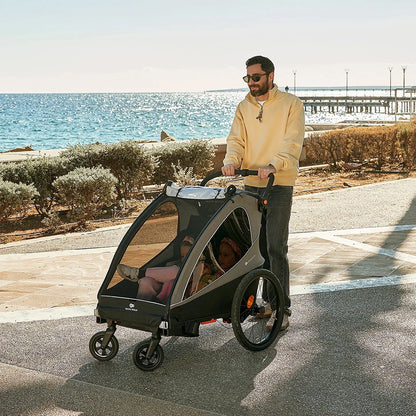 Coche de paseo NAVA WALK 2 en 1